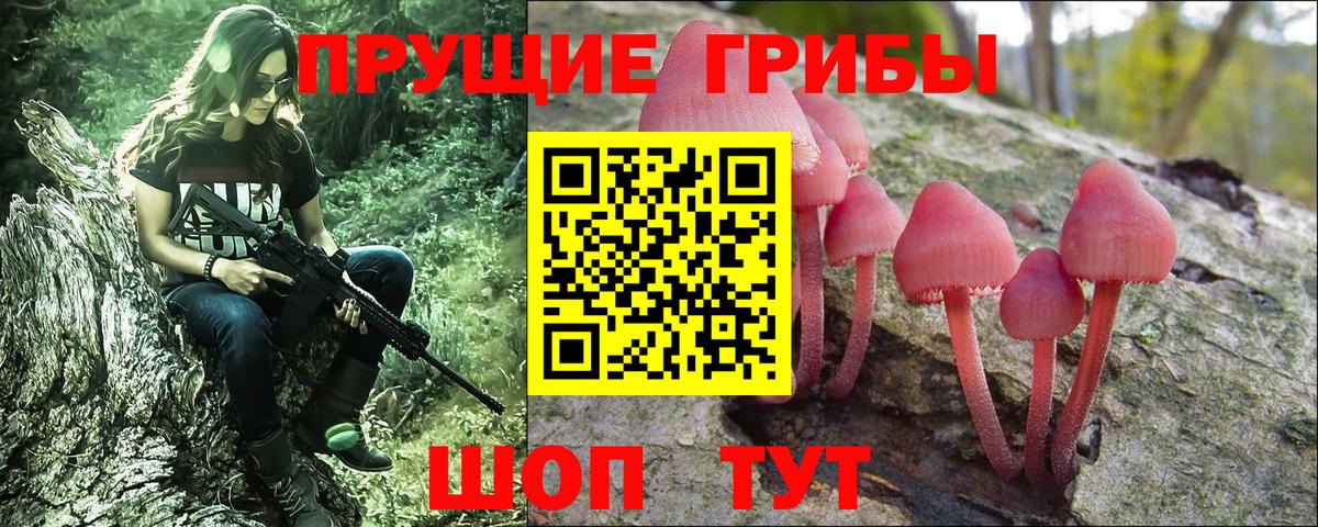 Псилоцибиновые грибы прущие грибы Апшеронск