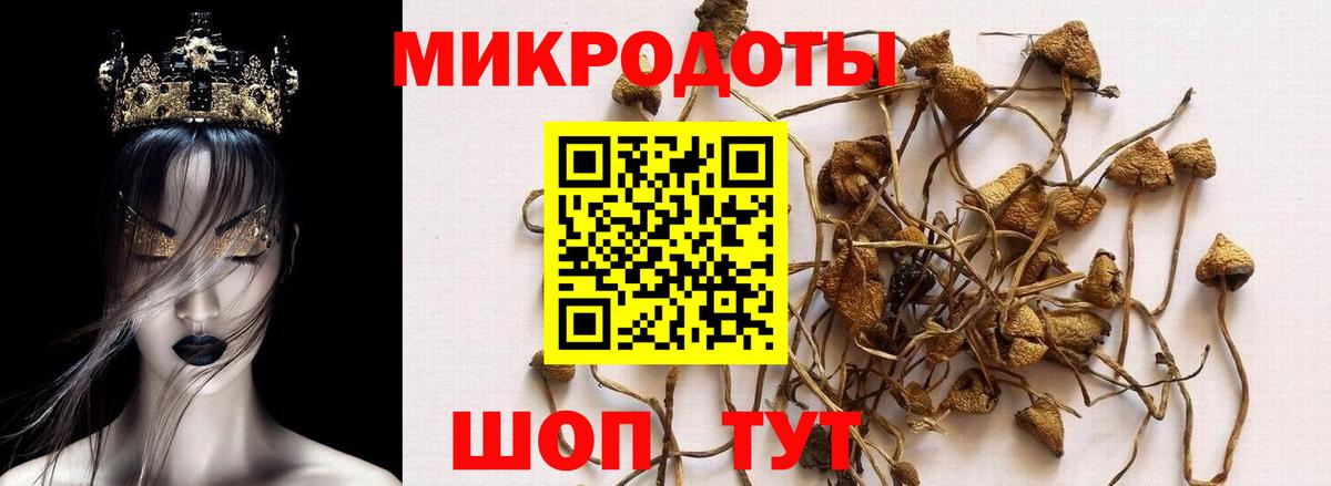 ГАШИШ  Апшеронск  Вход с VPN  COCAIN  Меф кристаллы  Где продают наркотики?  МАРИХУАНА 