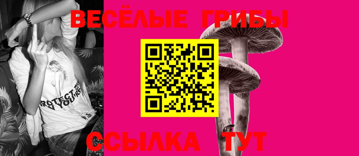 Апшеронск  Галлюциногенные грибы мухоморы  Галлюциногенные грибы Psilocybine cubensis  хочу наркоту  Вход с VPN 